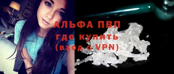 молекула духа Елизово