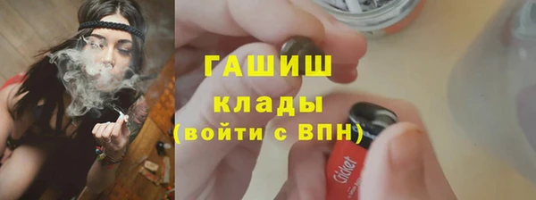 молекула духа Елизово
