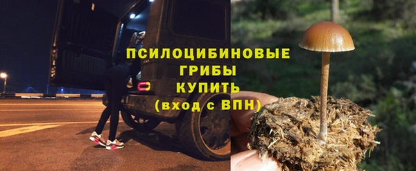 молекула духа Елизово