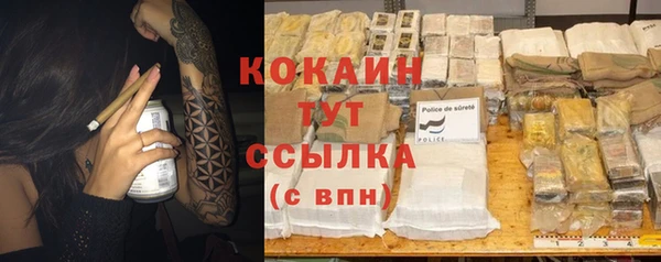 молекула духа Елизово